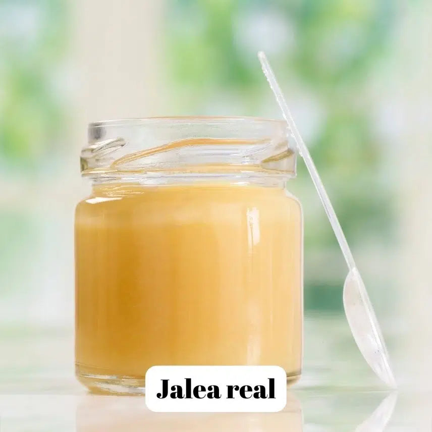 L'abella Mel Fresh Royal Jelly 20g - Jalea Real - Fersk bidronninggelé
