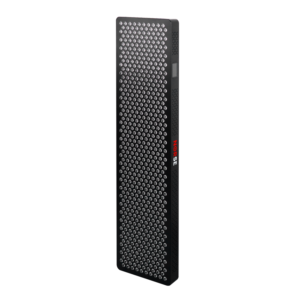 NORSE ESPRO3000