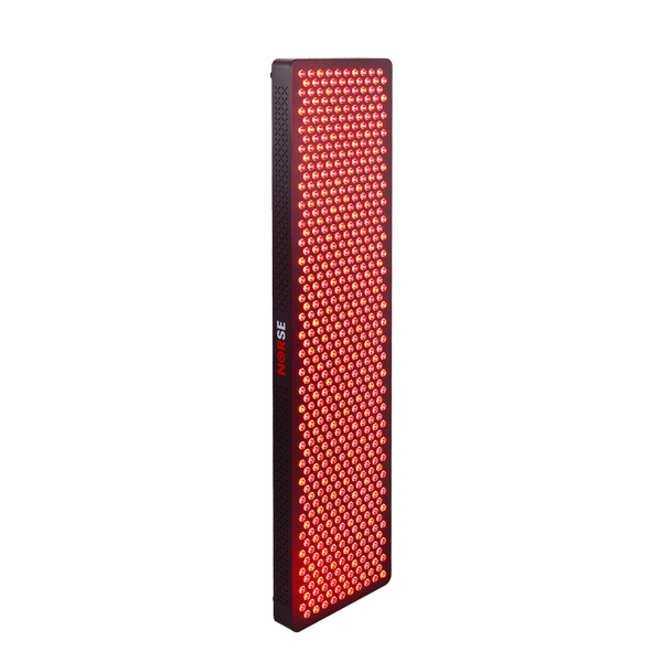 NORSE ESPRO3000